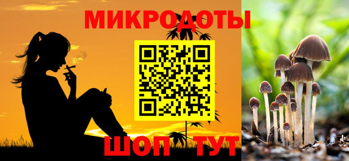 Псилоцибиновые грибы Cubensis Старая Русса