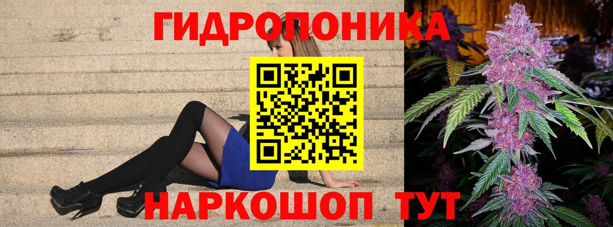 Бошки Шишки сатива  Канабис Amnesia  Старая Русса  Вход с VPN 